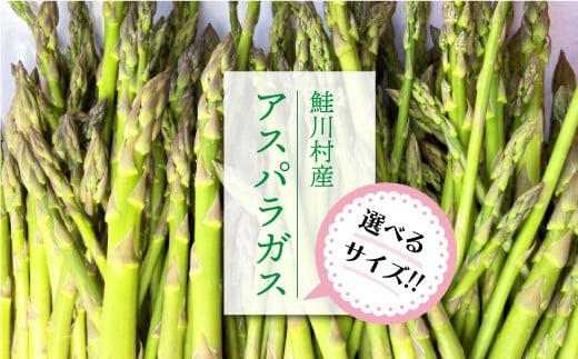 
            選べるサイズ！！　鮭川村産　アスパラガス
          
