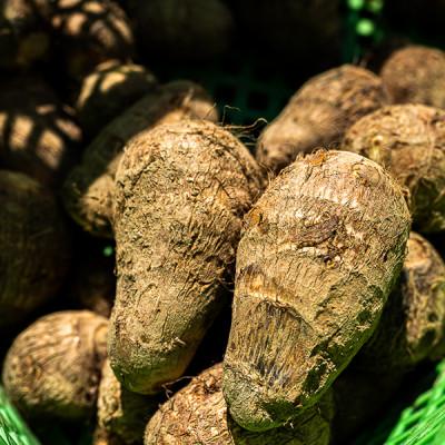 ふるさと納税 四万十町 四万十町産「土付きさといも」5kg |  | 03