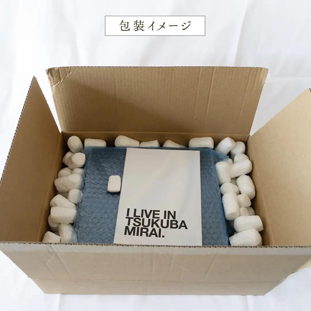 赤いちごと白いちごの宝石箱 18粒 【12月から発送開始】（茨城県共通返礼品 [いちご]：城里町産） ギフト 贈答 フルーツ 果物