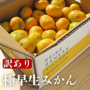 【訳あり】愛媛みかん （ 極早生 ） 3kg【発送時期：９月下旬～１１月下旬】2S-Lサイズ サイズミックス 愛媛みかん 温州みかん 一番みかん 柑橘 みかん 少量 お試し 試供品 5000円 愛媛県