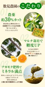ゆら早生 みかん 5kg ※2026年10月上旬頃～10月下旬頃に順次発送予定 ※沖縄・離島配送不可【kzmn003-r-5】