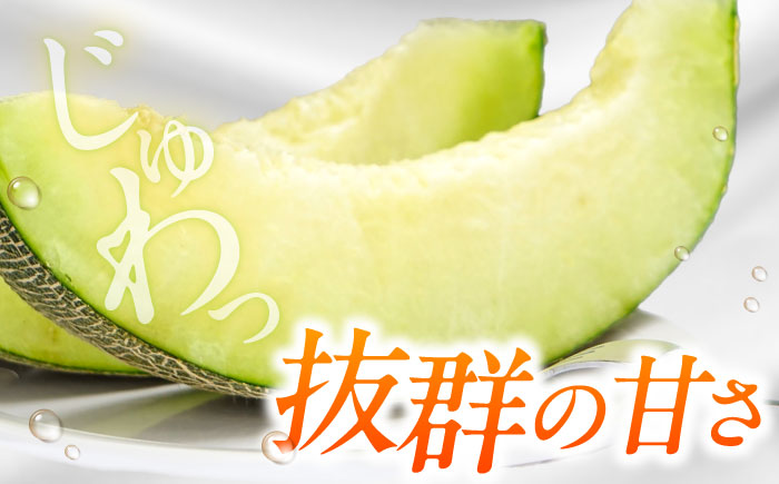 【2026年7月初旬～発送】グリーンメロン 2玉 約4kg / メロン めろん 果物 フルーツ / 南島原市 / うえだメロン園 [SAD010]