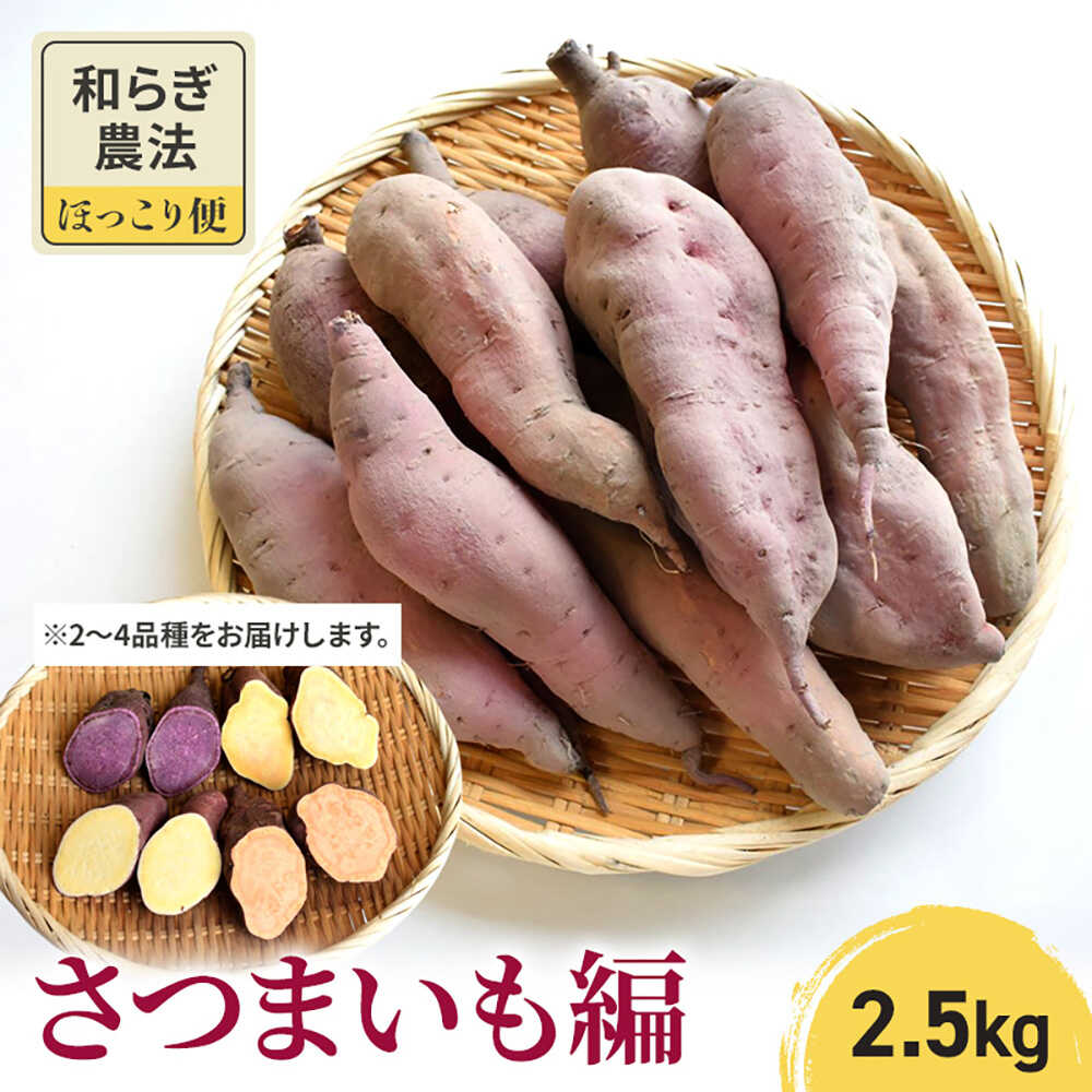 【ふるさと納税】【2025年10月頃より順次発送】和らぎ農法　ほっこり便　さつまいも編　2.5kg 栗東市 / 株式会社　ワダケン[BIBM007]