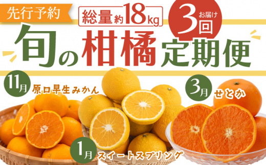 【先行予約・3回定期便】贅沢 柑橘 お便り〈11月：原口早生 5kg・1月：スイートスプリング 10kg・3月：せとか 3kg〉【田崎FARM】[OCU005] / みかん ミカン 蜜柑 柑橘 川棚町産柑橘 スィートスプリング 柑橘詰合わせ 柑橘定期便 食べ比べ かんきつ 長崎県産みかん 原口みかん 早生ミカン 数量限定 家庭用ミカン
