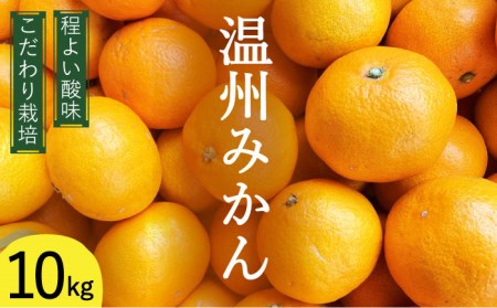 【2025年12月中旬～発送】温州みかん 10kg（2S?2L込）  / みかん みかん みかん / 南島原市 / 日野江 [SCY002]