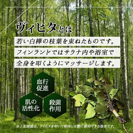 フレッシュ 白樺 ヴィヒタ 1束 北海道 白樺 ヴィヒタ アロマ ウィスク インテリア サウナグッズ サウナ テントサウナ 北海道 弟子屈町 10000円 2026年 7月以降順次発送 1510