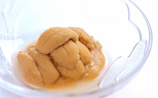 【2026年7月上旬頃より順次発送】北海道奥尻産「キタムラサキウニ」50g×1パック (塩水パック)【期日指定不可】