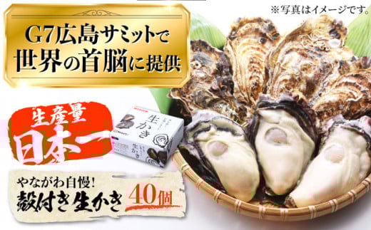 【3月29日（日）着】広島G7で提供された牡蠣！【着日指定可能】やながわ自慢！殻付き 牡蠣 40個（約5kg）牡蠣 かき カキ 生牡蠣 殻付き 広島 江田島市/マルサ・やながわ水産有限会社[XBL009] 牡蠣 生食 むき身 殻付き 殻付 殻 かき カキ 生牡蠣 広島牡蠣 オイスター カキフライ 魚介類 魚介 貝類 海鮮 広島県産 国産 産地直送 贈答 ギフト 特産品