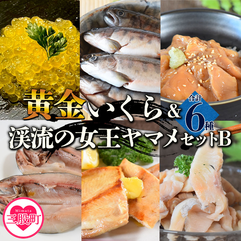 ＜黄金イクラと渓流の女王ヤマメ逸品セットB＞(6種)黄金イクラやヤマメなどを詰め合せ！【B-0206-sk】【有限会社しゃくなげの森】
