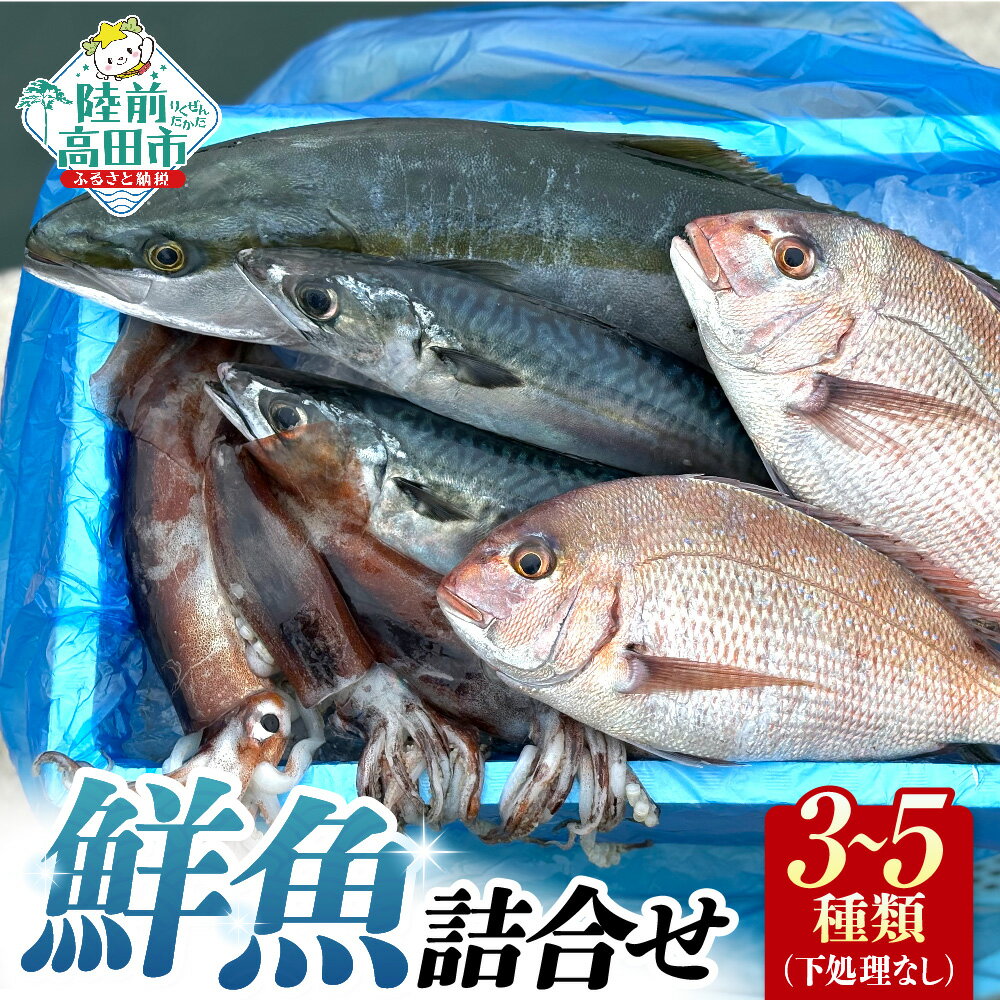 【ふるさと納税】三陸産 鮮魚セット 目安：3～5種類 下処理なし 広田湾 椿島定置網 [ 魚 鮮魚 新鮮 三陸 国産 魚介 魚介類 海藻 鮮魚BOX 鮮魚セット お祝い さかな おさかな 丸魚 旬 産地直送 広田湾漁業協同組合 ]