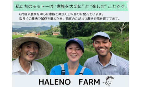 【令和7年度 新米】【数量限定】松江市産きぬむすめ5kg 優良金賞受賞米 島根県松江市/有限会社原田米穀 | きぬむすめ 5kg 無洗米 残留農薬不検出[ALBW010]