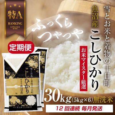 ふるさと納税 十日町市 【毎月定期便】[無洗米]魚沼産 コシヒカリ 30kg 精米 (お米の美味しい炊き方ガイド付)全12回