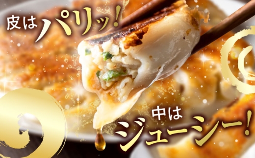 訳あり 本格餃子 100個セット 訳あり 本格 餃子  ぎょうざ 国産 ギョーザ 野菜 わけあり ワケアリ 冷凍餃子 ぎょうざ ジューシー 中華 セット 詰め合わせ 国産野菜 大容量 たっぷり 惣菜 