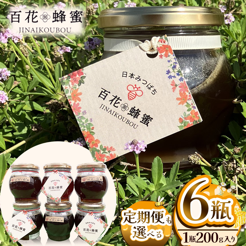 数量限定！　日本ミツバチの百花蜂蜜（6瓶）