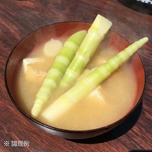 月山筍(ネマガリダケ) 　サイズミックス 2kg　鶴岡市朝日東部地区自治振興会