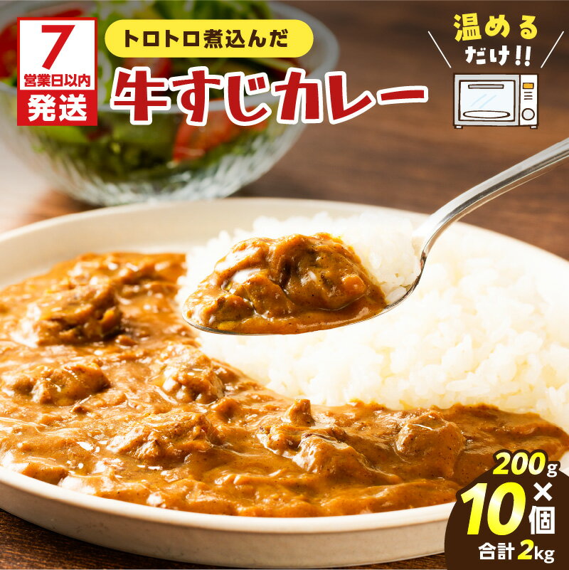 【ふるさと納税】【7営業日以内に発送】 牛すじ カレー 2kg 牛すじカレー ビーフ スパイス トロトロ 小分け コク 冷凍 本格カレー 惣菜 総菜 美味しい 小分け 簡単 調理 温めるだけ レンジ 物産展 にく太 太 鹿児島 鹿児島市 おすすめ ランキング プレゼント ギフト