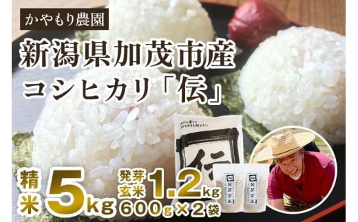 【令和7年産新米】新潟産コシヒカリ「伝」精米5kgと発芽玄米1.2kg（600g×2）《9月下旬～順次出荷》 セット かやもり農園