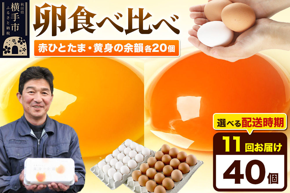 《定期便11ヶ月》赤ひとたま 20個・黄身の余韻 20個 計40個（業務用）