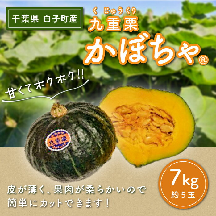 【ふるさと納税】【令和7年の先行予約募集・数量限定】九重栗かぼちゃ 7kg ふるさと納税 栗かぼちゃ 千葉県 白子町 煮物 お菓子 健康 年越し おせち きんとん 送料無料 SHI004
