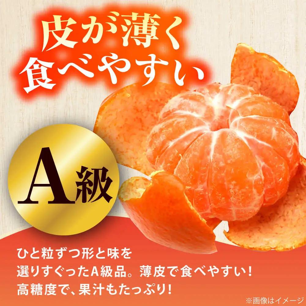 【先行予約】＜サイズおまかせ＞高知県産温州みかんA級品 約3kg ＜2026年11月上旬～2026年12月下旬頃発送＞/ みかん 柑橘 オレンジ 高知県 温州 【株式会社にしごみ】[ATEA010]