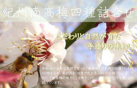 厳選紀州南高梅四種詰合せ | 梅干し 食べ比べ
