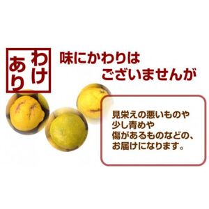 先行受付 訳あり はるか 5kg 【発送時期 1月中旬～3月】 なくなり次第終了 柑橘 かんきつ 期間限定 みかん 蜜柑 冬 糖度 傷 不揃い みかん職人武田屋