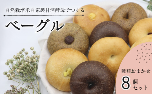 天然酵母ベーグル 種類おまかせ８個セット　西条市産の自然栽培米でつくる 自家製米麹生あま酒を使用した 天然酵母ベーグル
