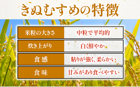 【12ヶ月定期便】令和5年産 米 岡山県産 きぬむすめ 無洗米 選べる 20kg ありがとう園《お申込み月の翌月から出荷開始》岡山県 矢掛町 無洗米 米 コメ 一等米 定期便 定期