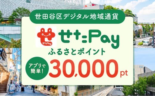 
            世田谷区 地域限定通貨「せたがやPay」 ふるさとポイント30,000pt（1pt＝1円）30,000円分 せたぺい デジタル地域通貨 電子決済 キャッシュレス 飲食 宿泊 体験 電子通貨 東京都 世田谷
          