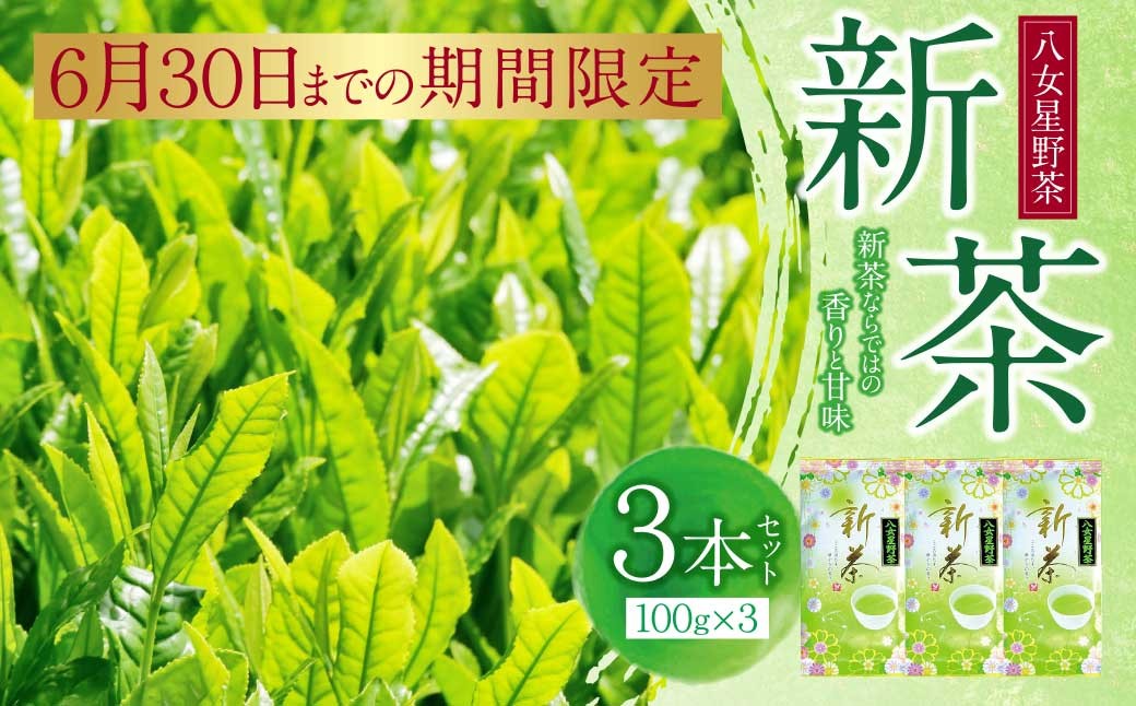 
                  W26-17  期間限定 新茶 八女星野茶 100g×3本 八女茶 福岡県産 お茶 ギフト 贈答 煎茶 緑茶
                