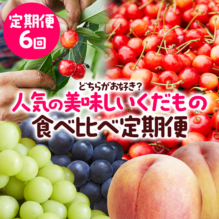 【定期便6回】どちらがお好き？人気の美味しいくだもの食べ比べ定期便 【令和6年産先行予約】FS23-772