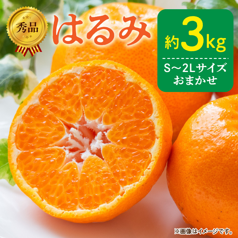 【2027年先行予約】秀品 はるみ 和歌山 有田 S～2Lサイズ 大きさお任せ 約3kg_DZ6109