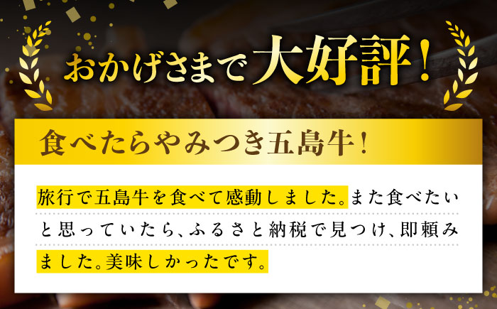 【全3回定期便】やみつき五島牛サーロインステーキ2枚入り【肉のマルヒサ】 [PCV011]