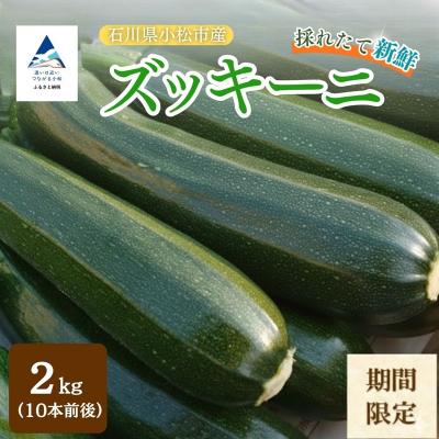 ふるさと納税 小松市 ズッキーニ 約2kg (10本前後) ずっきーに 小松市産