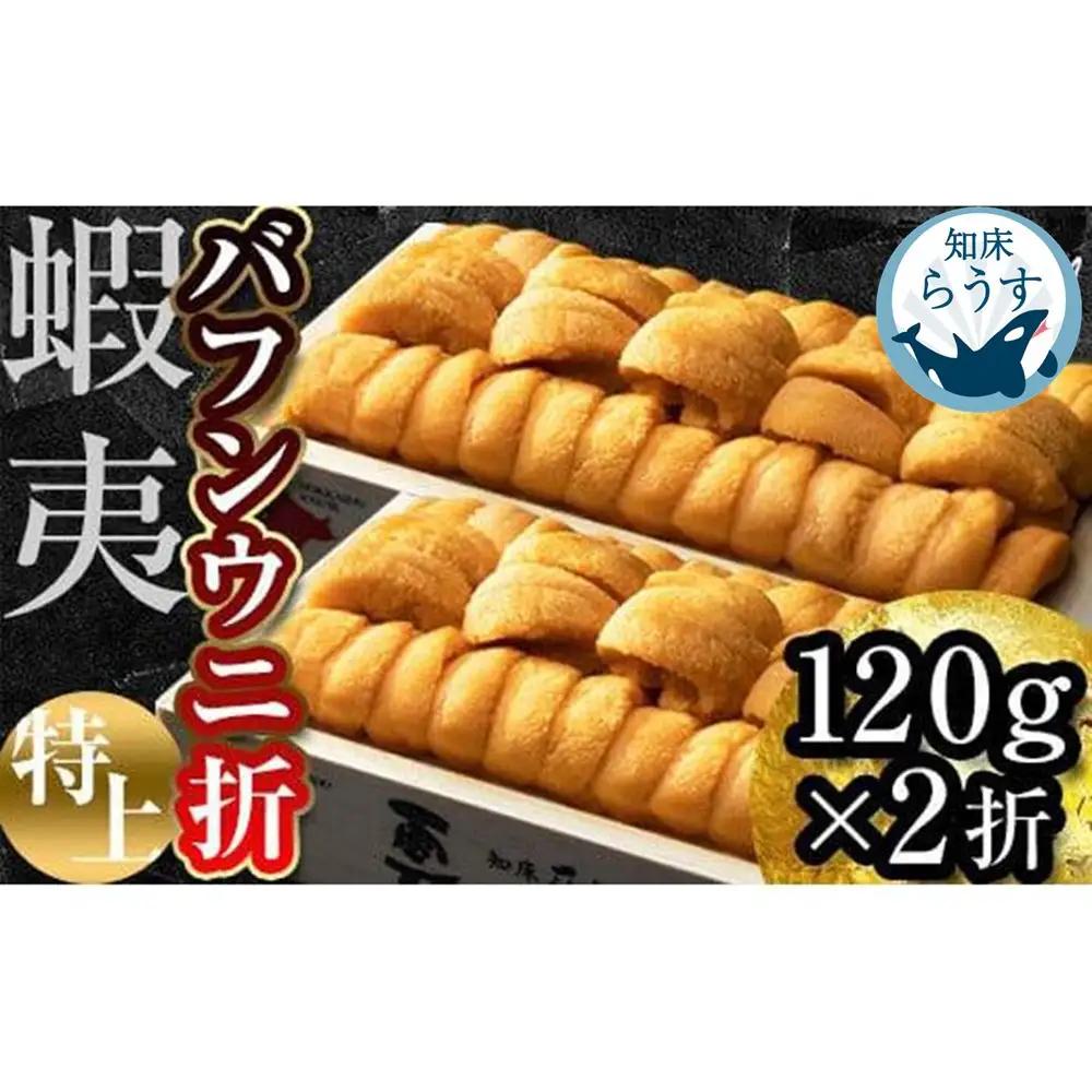 ＜先行受付＞＜27年1月～6月内発送＞エゾバフンウニ　折うに(特上)120×2枚｜ウニ　羅臼