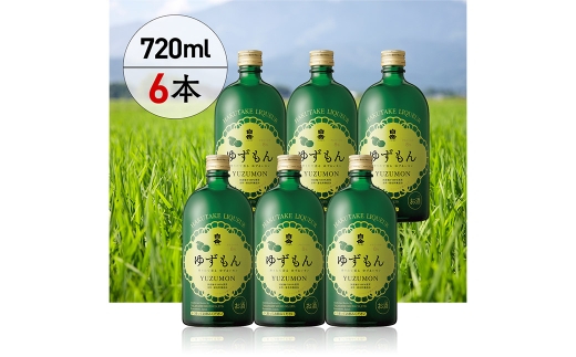 球磨焼酎で作った 「 白岳ゆずもん 」 6本 焼酎 お酒 酒 アルコール 米焼酎 ゆずストレート果汁 レモン果汁 白岳