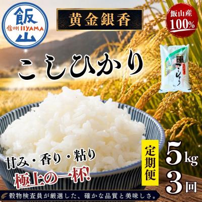 ふるさと納税 飯山市 【新米 定期便 5kgx3回】黄金銀香 飯山産 コシヒカリ (合計 15kg) コシヒカリ 小島