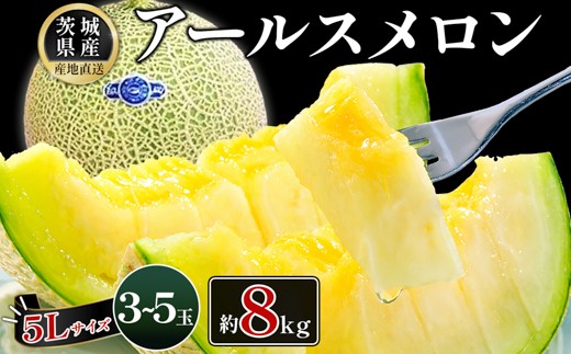 
                  490 アールスメロン 3～5玉 約8kg 優品以上 高級 茨城 JA水戸産
                