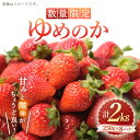 【ふるさと納税】【先行予約】【数量限定】 ゆめのか いちご 約2kg （250g×8パック）＜川原農園＞ [CDR010] いちご イチゴ 苺 果物 フルーツ 甘い ご家庭用 1kg 2kg