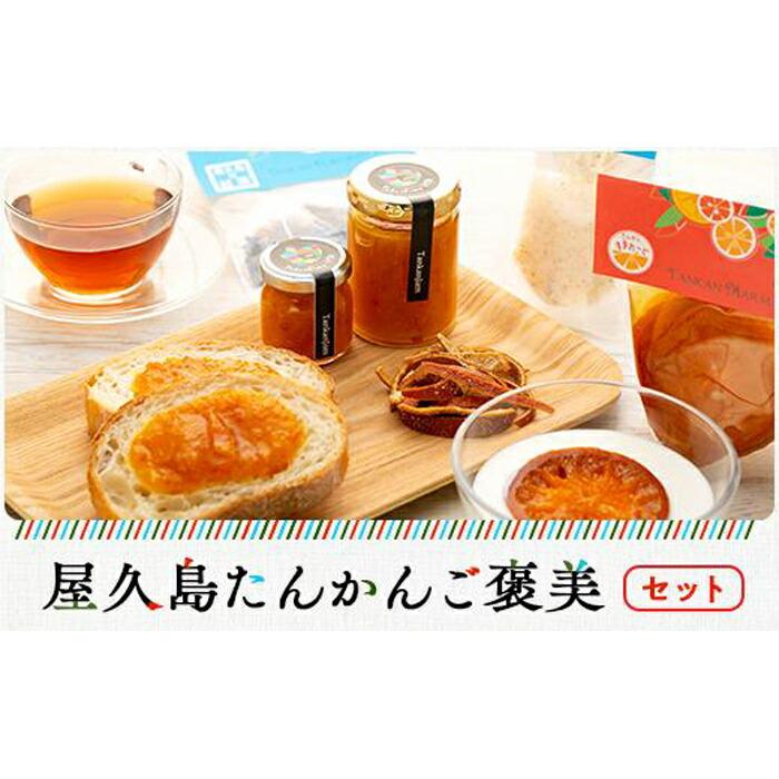 【ふるさと納税】屋久島たんかんご褒美セット