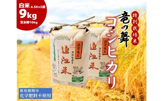 こしひかり 白米 9kg  （ 4.5kg × 2袋 ） 2025年産 竜の舞 化学肥料不使用 特別栽培米 玄米 時容量 5kg × 2袋 計 10kg 国産 安心 安全 近江米 米 お米 白米 お弁当 玄米 産地直送 滋賀県 竜王町 送料無料