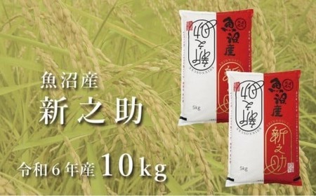 令和7年産新米 中魚沼産「新之助(しんのすけ)」10kg 新潟県 津南町 有限会社イタバ