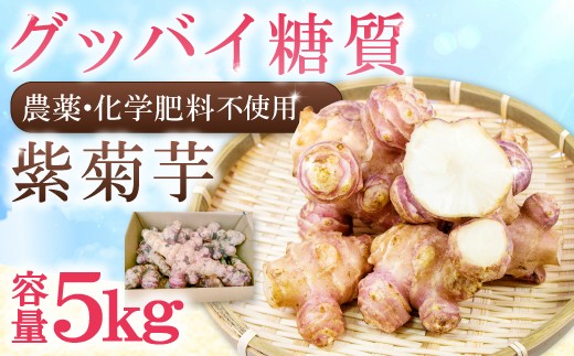
農薬化学肥料不使用の紫菊芋　5kg【菊芋 野菜 紫菊芋 芋 赤菊芋 農薬不使用 化学肥料不使用 季節限定 期間限定 数量限定 島根県 大田市】
