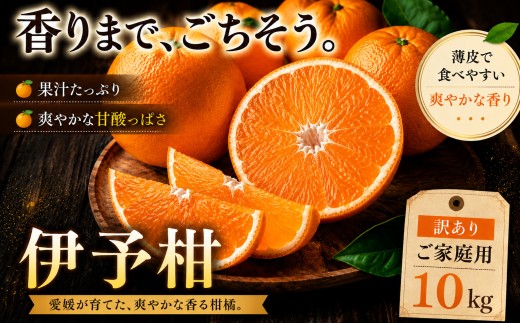 ＜香り立つ果実 愛媛県産伊予柑 合計約10kg＞『2027年1月上旬～2月下旬迄に順次出荷予定』 訳あり あまい 爽やかな香り ミカン 蜜柑 ご家庭用 果汁 果物 くだもの フルーツ オレンジ 柑橘 特産品 極尽道 愛媛県 西予市 【常温】