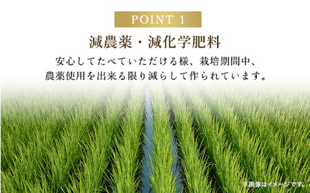 【令和6年新米】＼6か月 定期便／高本さんちのお米 コシヒカリ 5kg×1袋×6ヶ月【白米/玄米】AS2GH2