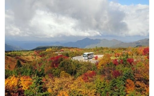 立山黒部アルペンルートの応援と国立公園立山の環境整備