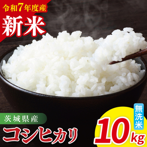 【先行予約】令和7年産 茨城県産コシヒカリ　無洗米　10kg（5kg×2）（85-87）