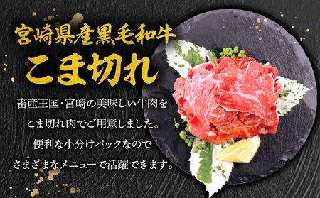 【期間限定】宮崎牛ウデスライス500g×2 宮崎県産黒毛和牛小間切れ100g×2 合計1.2kg 宮崎牛 ウデ こま切れ