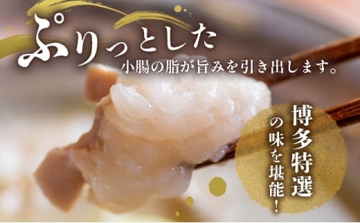 【プリプリの国産牛小腸のみ使用】博多特選もつ鍋(醤油味・4～5人前)【福岡ブランド】