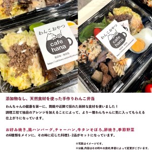 【定期便】3回発送 cafe hana わんこのお弁当セット Lサイズ スープ おやつ２袋 （大型犬） セット 愛犬への贈り物 ご飯 ドッグフード ペットフード 手作り 愛犬 dog 犬用